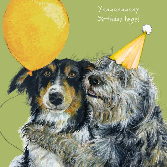 Collie Dogs Birthday Card