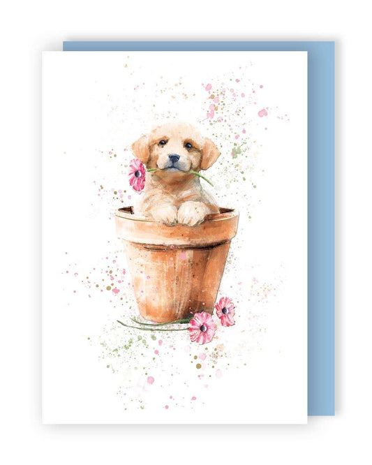 Puppy In Flower Pot - Yours Truly - Second Nature