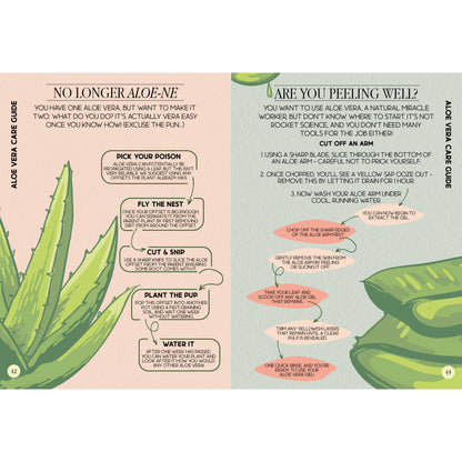 Houseplant Survival Guide - Indoor Plant Tips and Tricks