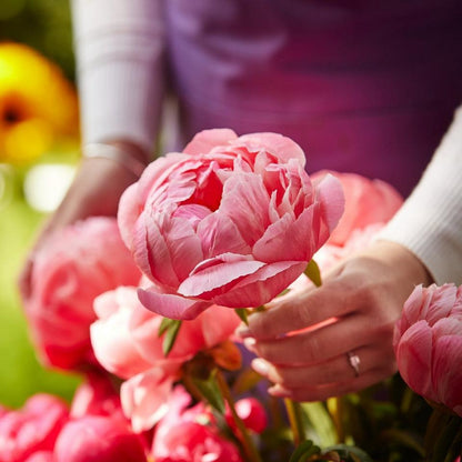 Arrangement made with the finest flowers