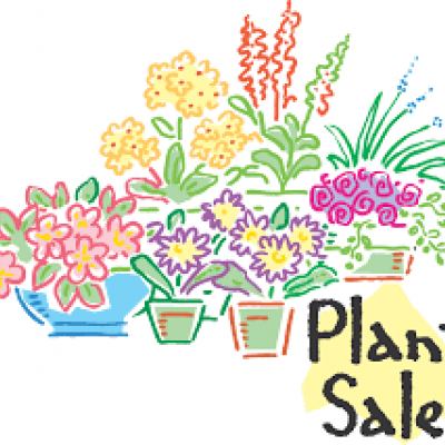 Plant Sale Clearance Potluck