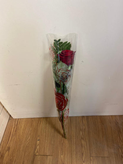 Single Long Stem Red Rose