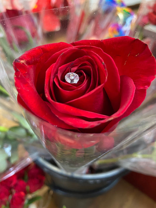 Single Long Stem Red Rose with Diamonte