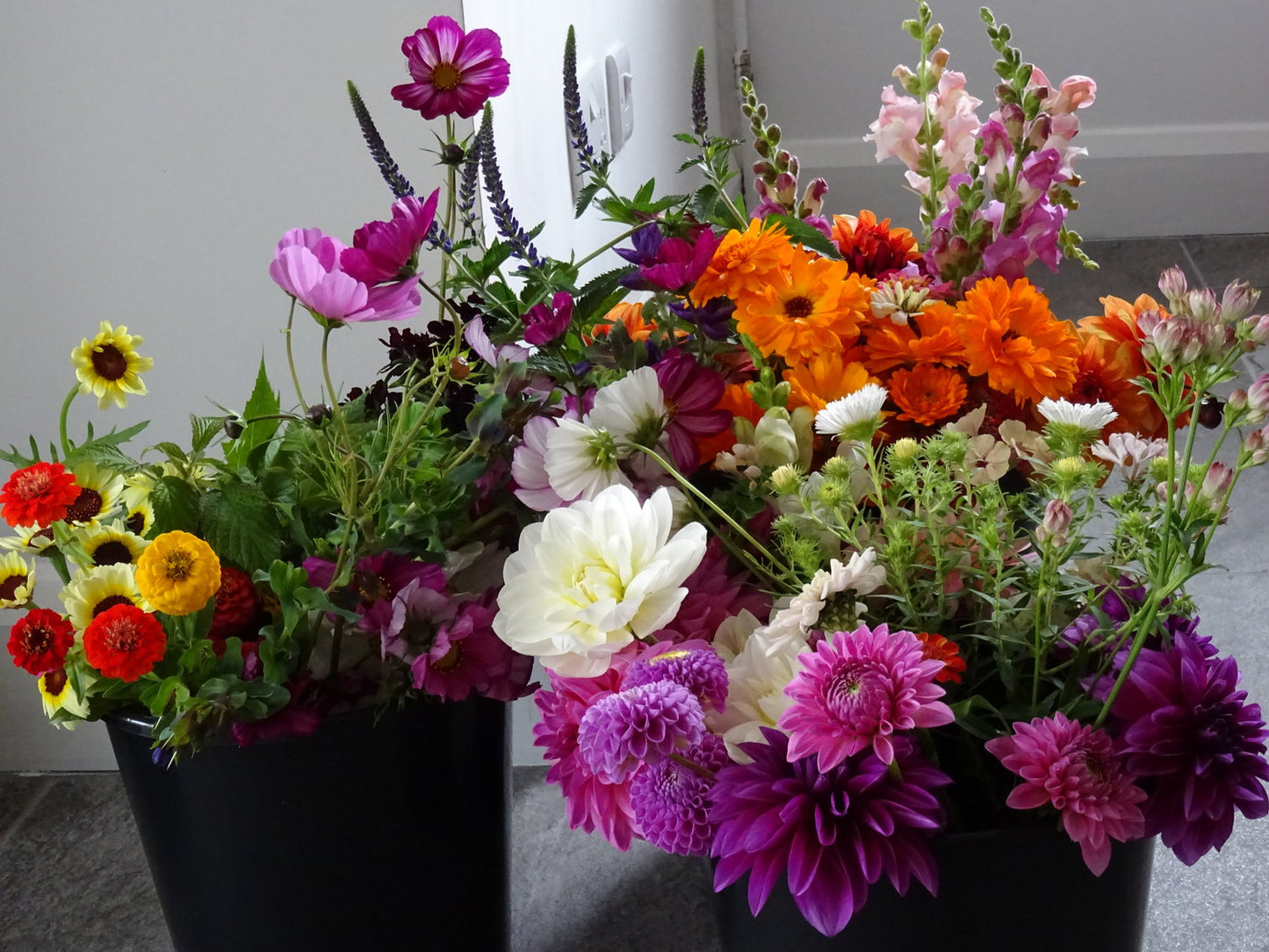 Bucket of Blooms